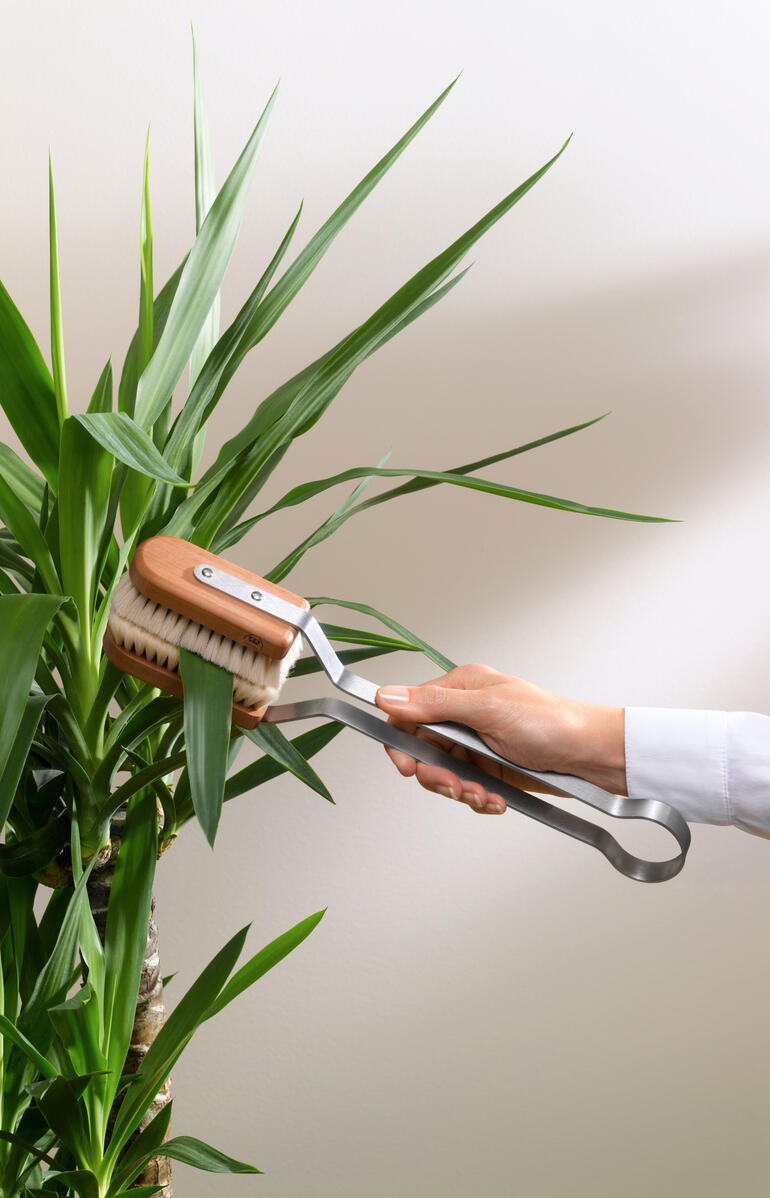 Blätterbürste wird an einer Pflanze verwendet