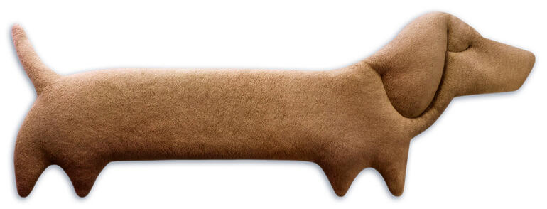 Karamellfarbener Wärme-Dackel auf einem weißen Hintergrund.