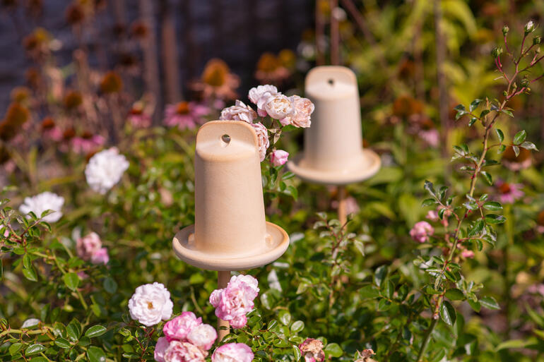 Drei 3-in-1 Insektenhäuser dekorativ im Garten zwischen Rosenblüten.