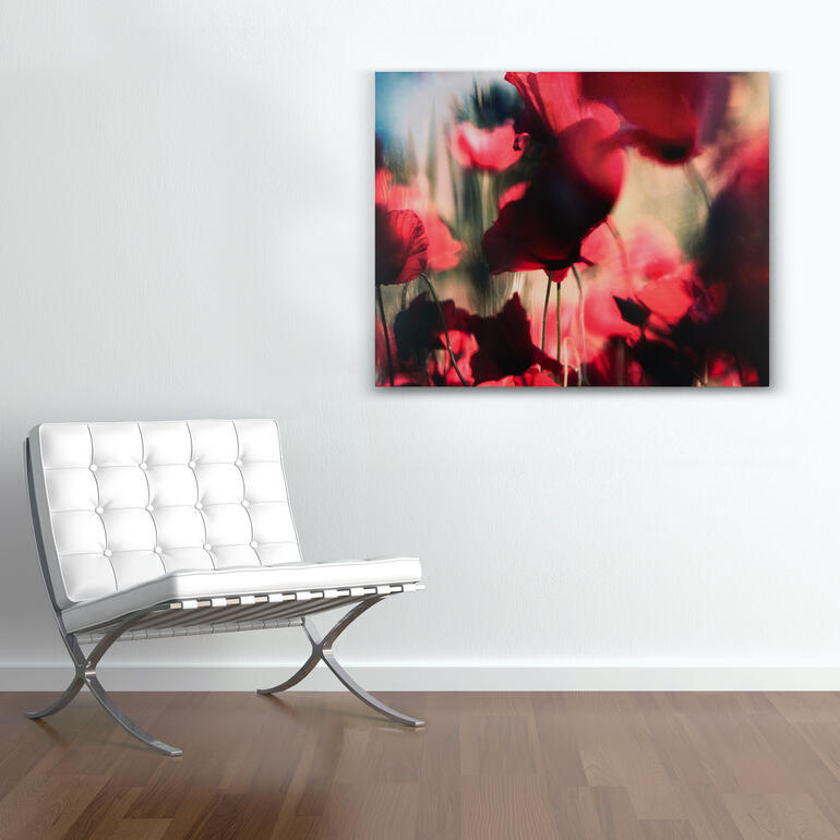 Moderner Raum mit dem Bild 'Mohn Nr. 3' von Sabine Wenzel an der Wand.