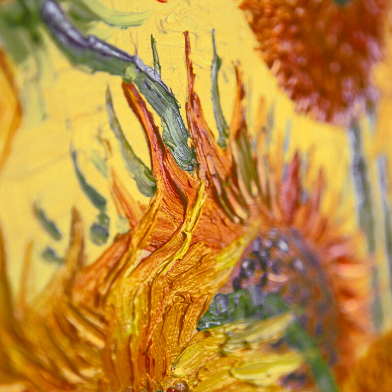 Detail ca. im Maßstab 1:3. Nahaufnahme einer Sonnenblume mit lebendigen Farben und Struktur.