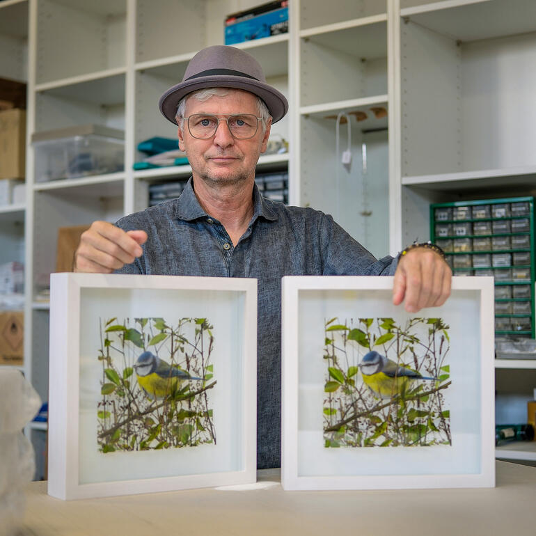 Andreas Lutherer Mann hält zwei gerahmte Bilder einer Blaumeise in der Hand.