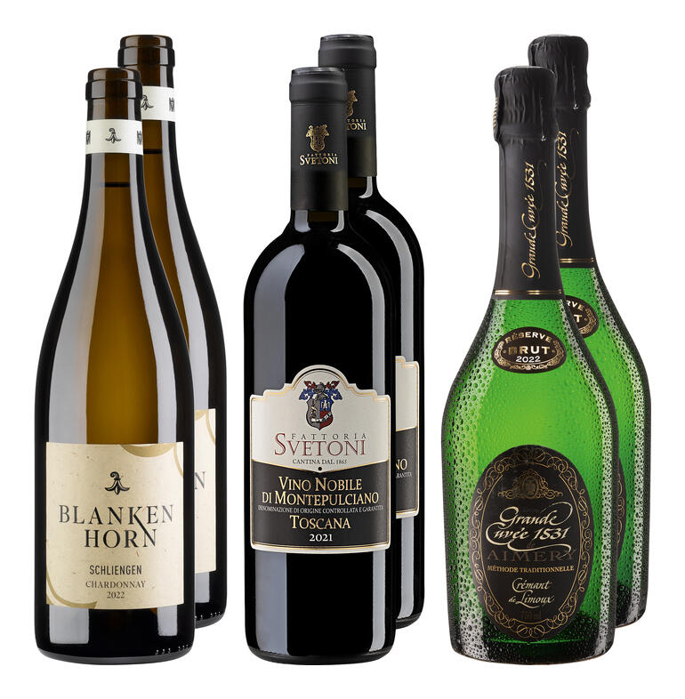 Sechs Flaschen Wein, darunter Rot- und Schaumweine, auf einem hellen Hintergrund.