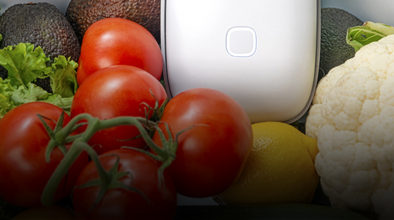 Küchenhaus Ideen für Küche und Gastlichkeit, Frühjahr 2026