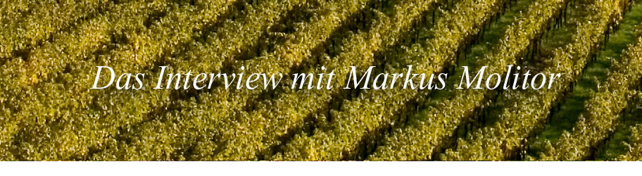 Interview mit Markus Molitor Interview mit Markus Molitor